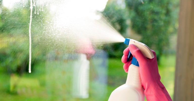 5 Steps for Clean Window Screens