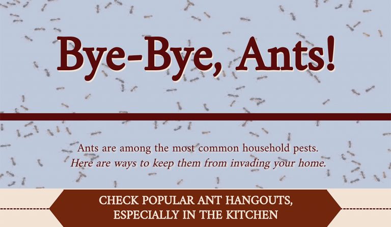 Bye-Bye, Ants!